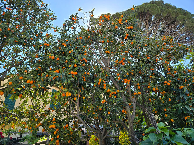 image_cropper_1777300040402