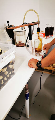 IMG_20260425_122200