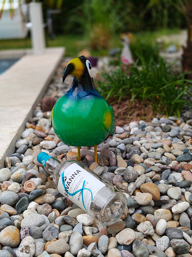 imagecropper1780262810490