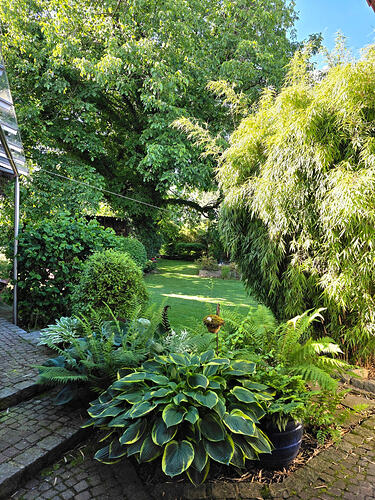 image_cropper_1780675825128