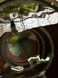 Samai Distillery