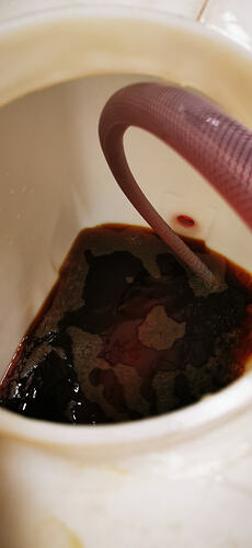 IMG_20260425_114124