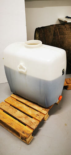 IMG_20260425_114737