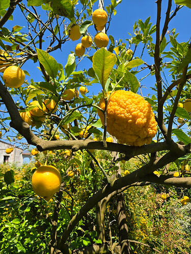 image_cropper_1777206508409
