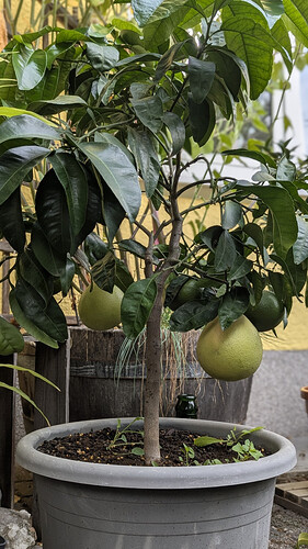 image_cropper_1791103780654