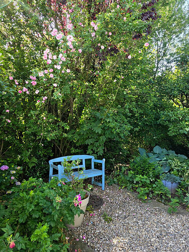 image_cropper_1780675808199